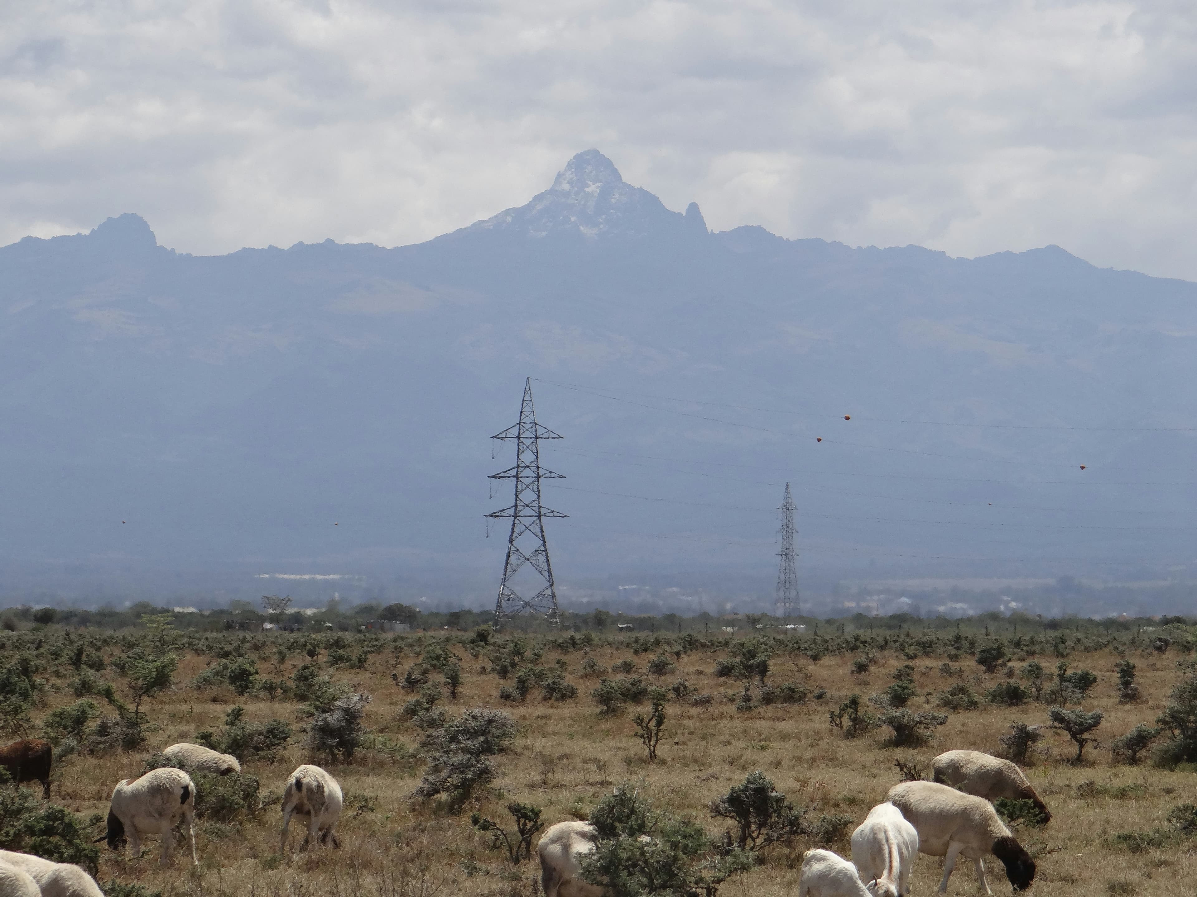 Clean Energy in Arid Lands: How Cookstoves and Solar Options Save Forests and Improve Health