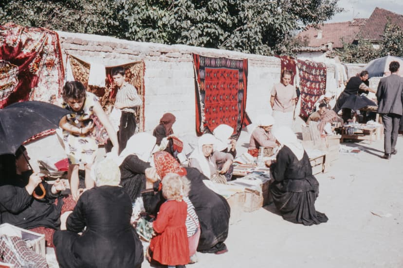 Community peace forum under an acacia tree