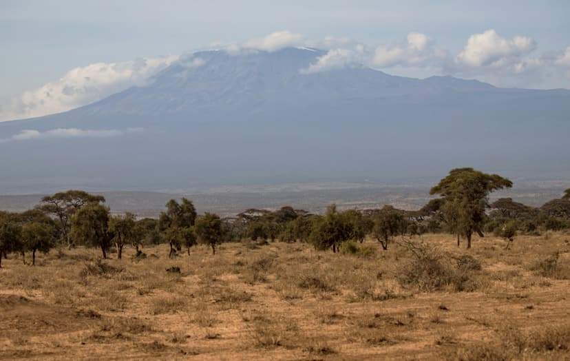 Community tree planting and soil conservation